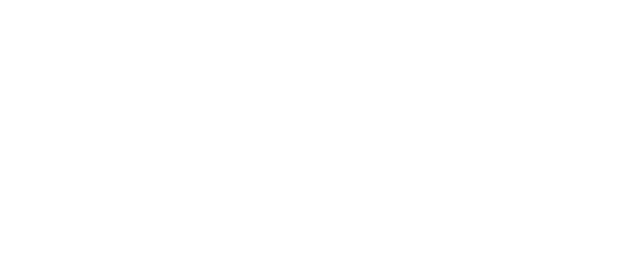 Bidscope